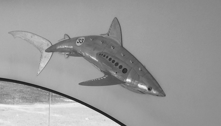 Villa Redaelli - immagine 10